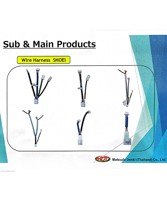 Sub & Main Products